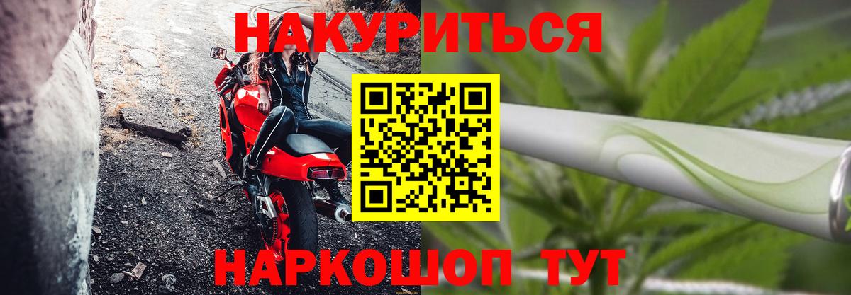 Канабис SATIVA & INDICA Славгород